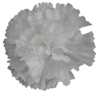 Голова гвоздики шелк Г0024 (10,5см 100шт) белая