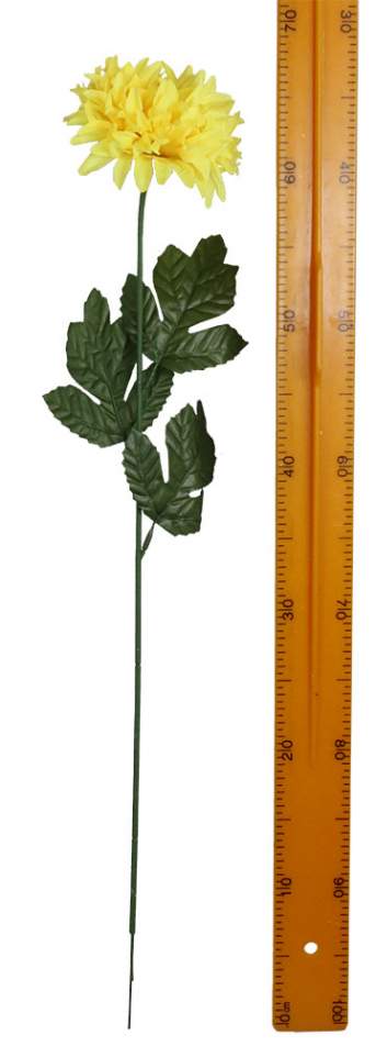 Хризантема на ноге