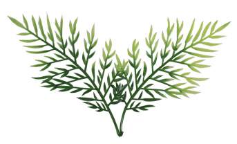 Ветка-лист водоросли без литника для венка 151.114