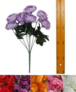 Букет пиона (7в 50см 20шт) F010