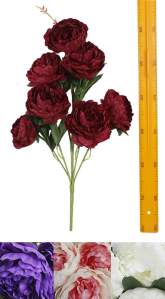 Букет пиона (7гол 65см 10шт) Q-0019