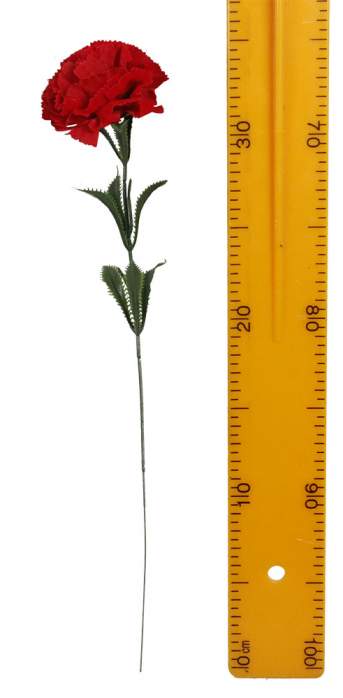 Гвоздика (5гол 100шт 60см) А357